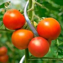 Plant Support 1.5 M Stainless Steel Tomato Support